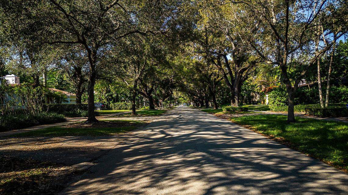 Herald endorsement: Coral Gables Referendum 8 | Opinion