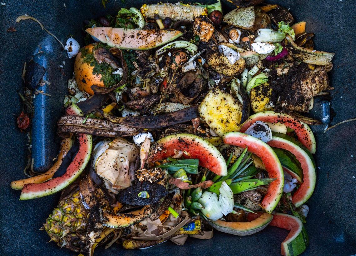 Food scraps in a compost bin outside Pinecrest Branch Library on Tuesday, February 25, 2025.