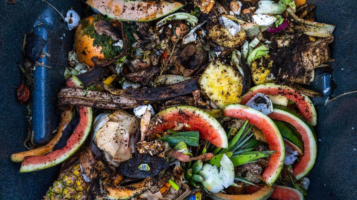 Food scraps in a compost bin outside Pinecrest Branch Library on Tuesday, February 25, 2025.