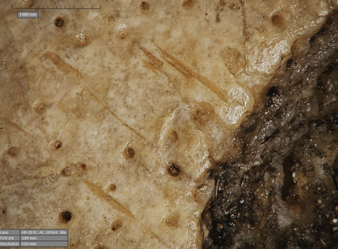 More researcher is needed to determine whether the cuts were made for treatment or for observation.