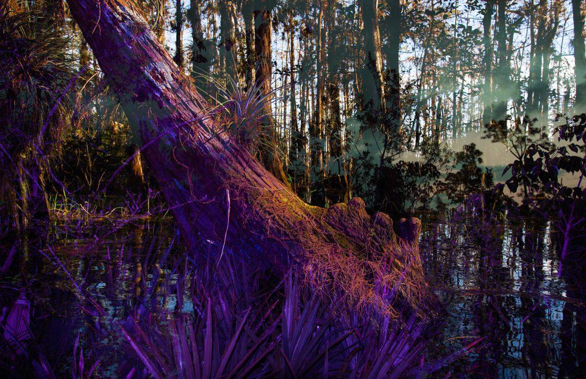 An image of Cornelius Tulloch’s visual installation, “Passages.”