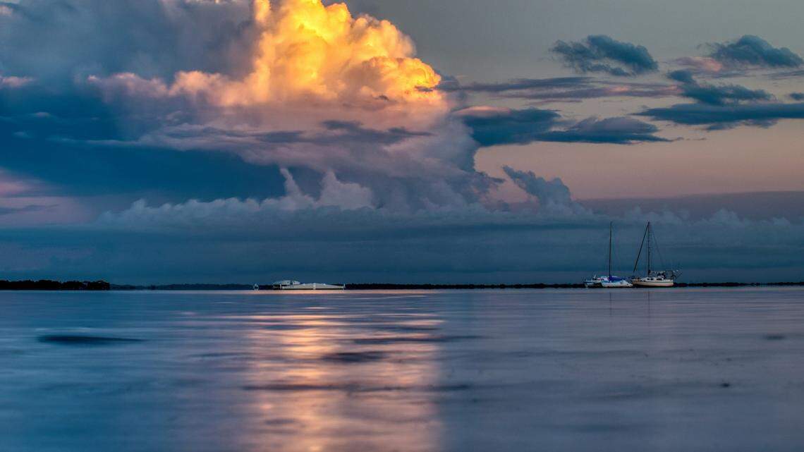 Off the coast of Brisbane, Australia, a new species was caught in a trawling net.