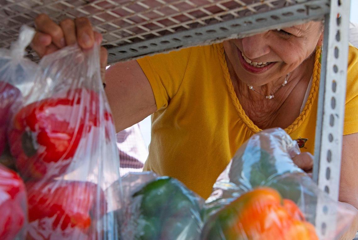 Delia Rodriguez searches through the variety of produce available at Arturo Tomayo's bodega truck in Miami, FL, on Wednesday, June 20, 2018.