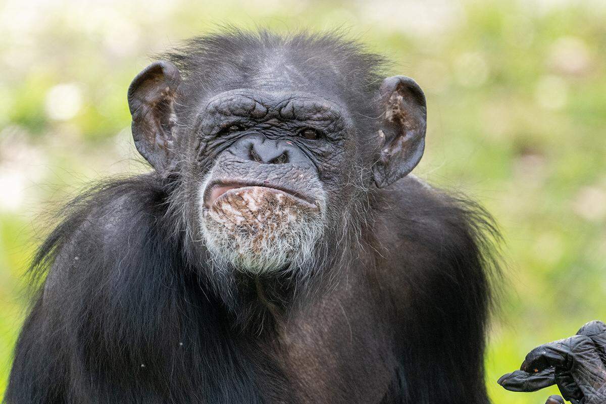 Samantha poses with a grumpy face on her 57th birthday on February 5, 2026.