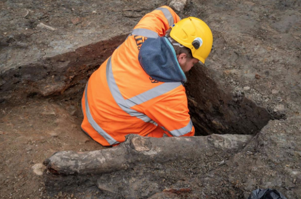The large stakes were found in the castle’s moat, archaeologists said.