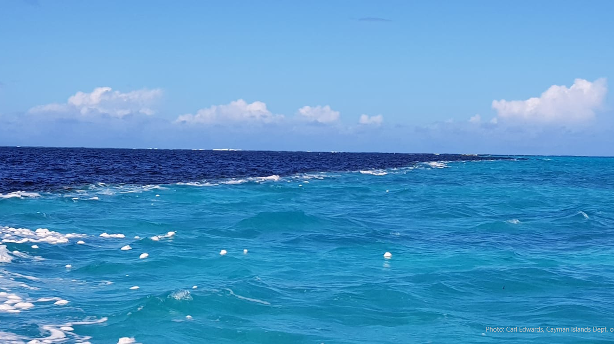 Carl Edwards of the Cayman Islands Department of Environment was on the north side of Grand Cayman when he saw what appeared to be two different ocean horizons zippered together by a strip of white foam.
