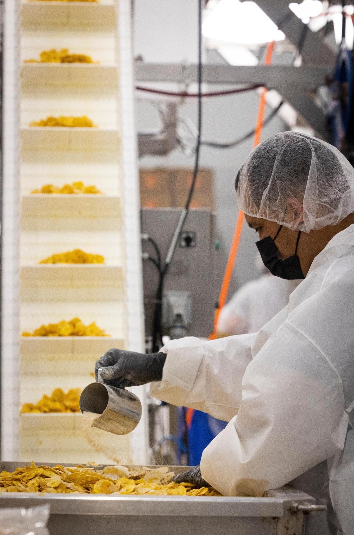 A Chifles chips worker gets the plantain chips ready to be bagged at the firm’s Miami plant on Tuesday, Sept. 5, 2023.