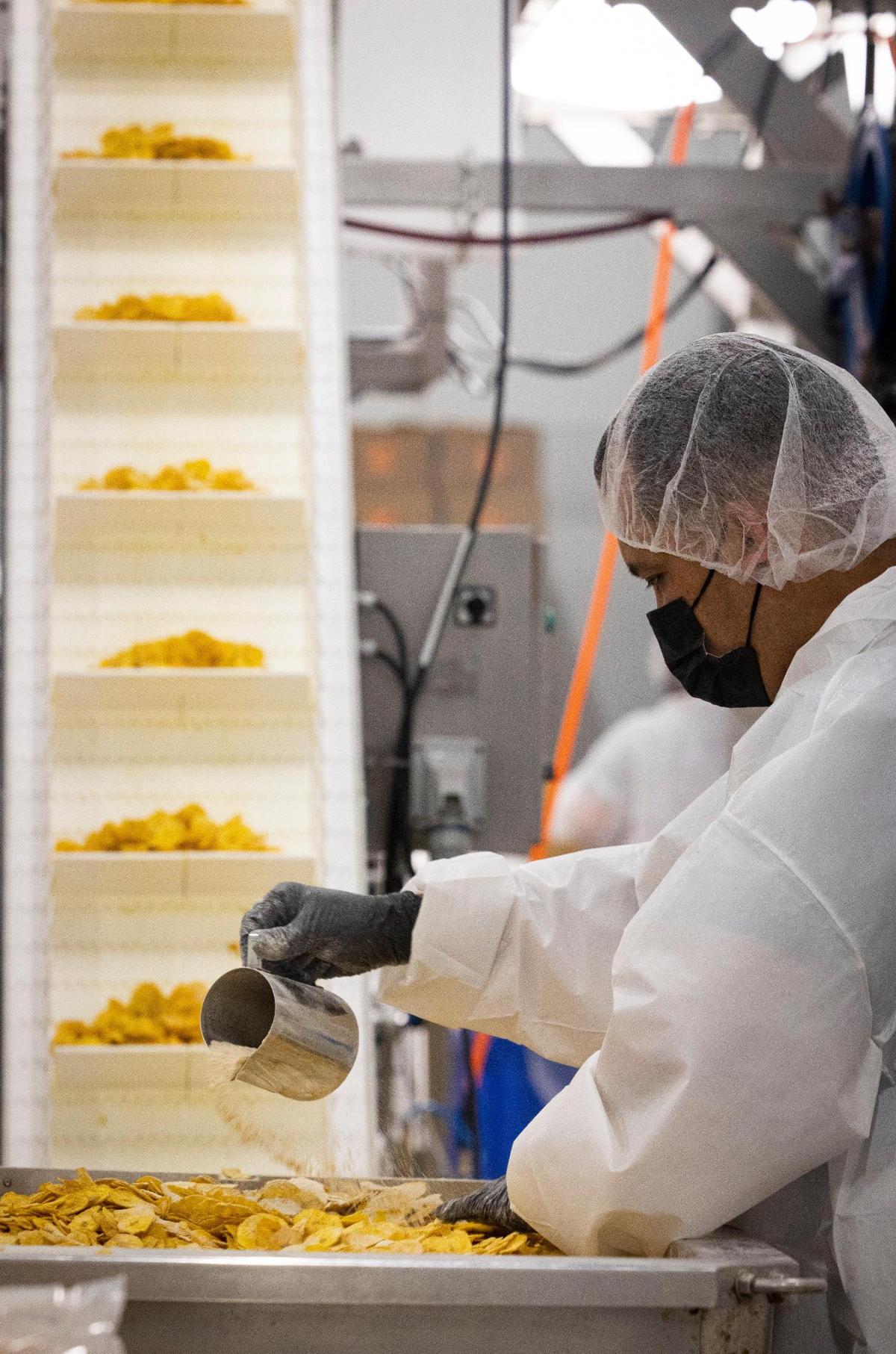 A Chifles chips worker gets the plantain chips ready to be bagged at the firm’s Miami plant on Tuesday, Sept. 5, 2023.
