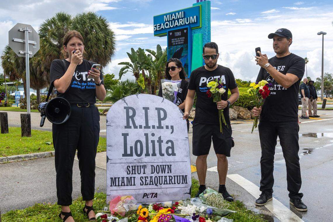 PETA organizer Amanda Brody leads a eulogy in front of volunteers, activists and media alongside a makeshift memorial during a vigil hosted by PETA for Lolita the killer whale, also known as Toki, outside Miami Seaquarium in Key Biscayne, Florida, on Saturday, August 19, 2023. Toki died from suspected renal failure on Friday after decades of captivity since the age of four.