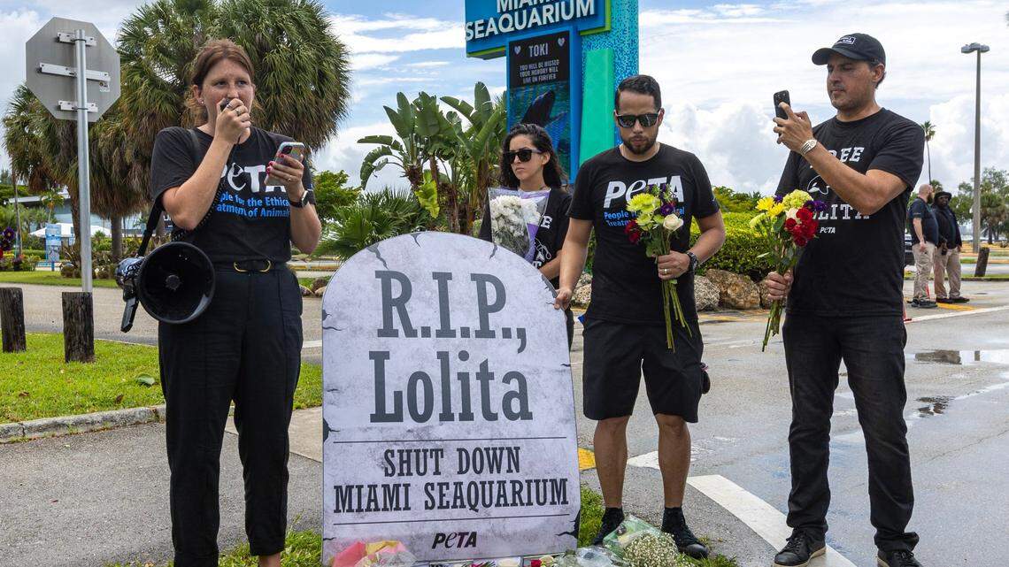 PETA organizer Amanda Brody offers a eulogy for Lolita the killer whale outside Miami Seaquarium in Key Biscayne on Aug. 19, 2023.