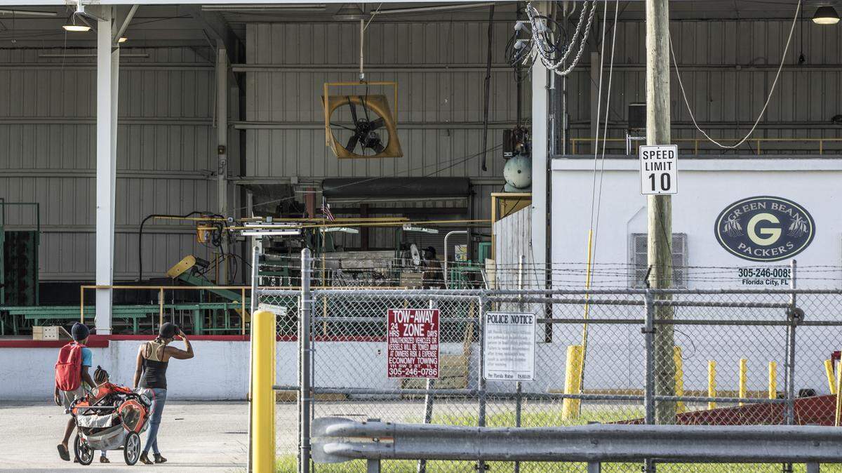 Green Bean Packers’ food packaging facility in Florida City, Fla. on Wednesday, Aug. 8, 2018.