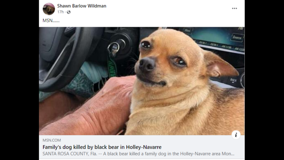 Rusty and Shawn Wildman told WKRG the 6-year-old Chihuahua was attacked “right outside their home.”