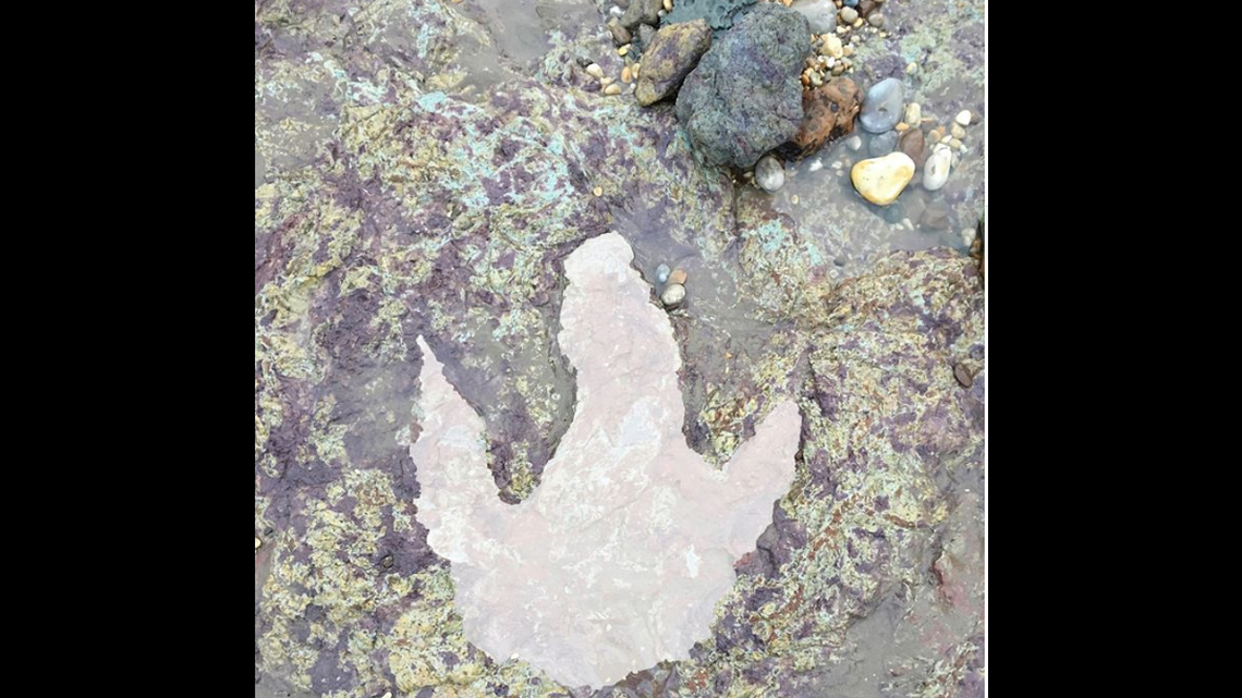 It is believed the track is from a Neovenator or a Baryonyx, giant lizards that walked on two legs, had small front arms and ranged in size from 24 to 32 feet.