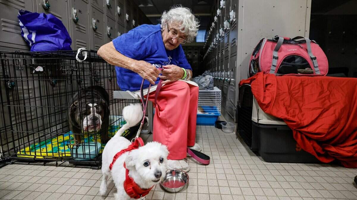 Humans are more likely to evacuate as hurricaanes approach if they can take their pets. Here, evacuee Marie Portulano, with her her dog, Pinky, evacuated in Sarasota last year.