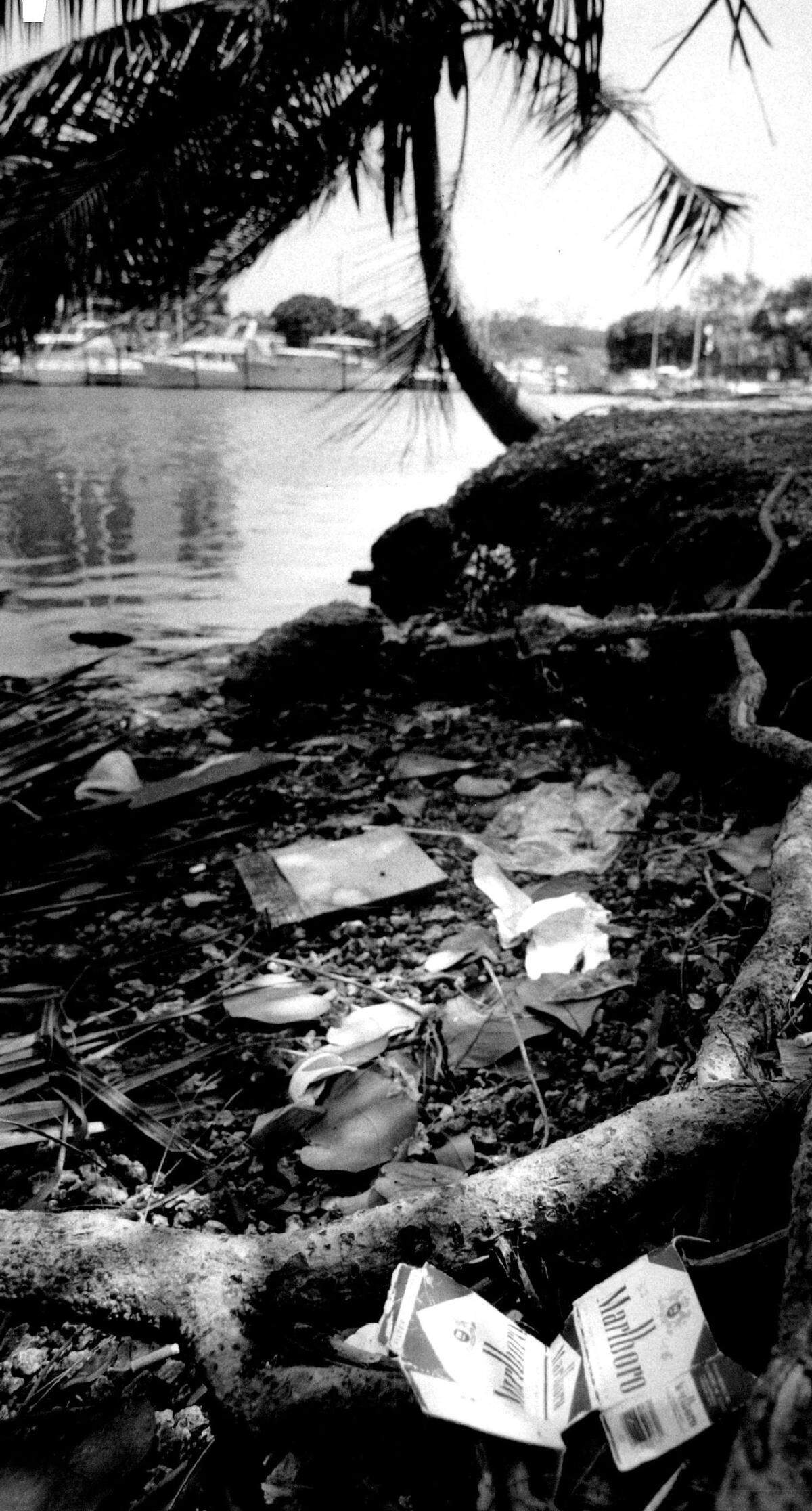 Garbage washed ashore at Sewell Park on the Miami River in 1989.