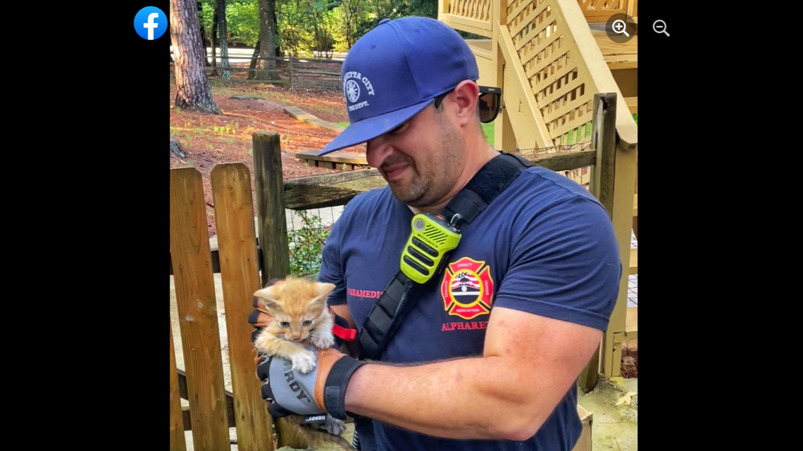 The kitten jumped out of the truck but was captured in the side yard of the house.