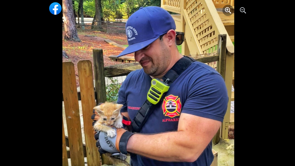 The kitten jumped out of the truck but was captured in the side yard of the house.
