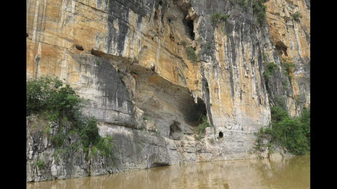 The trove of fossils included the remains of Burmese pythons, king cobras, and Baihuajin snakes, experts said.