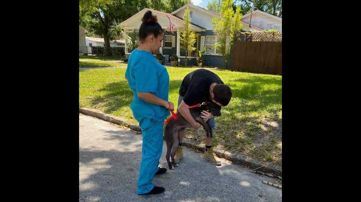 The Humane Society of Tampa Bay shared a touching story on Facebook of the reunion between a man and his dog on April 27, 2021. Here, a happy Dakota, a pit bull terrier mix, reunites with his owner.