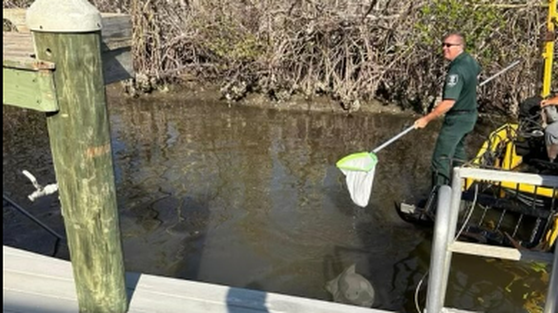 Lee County Sheriff’s Office Cpl. Jay Brett got a mini barge and went fishing for what looked like a human hand in a Florida canal.