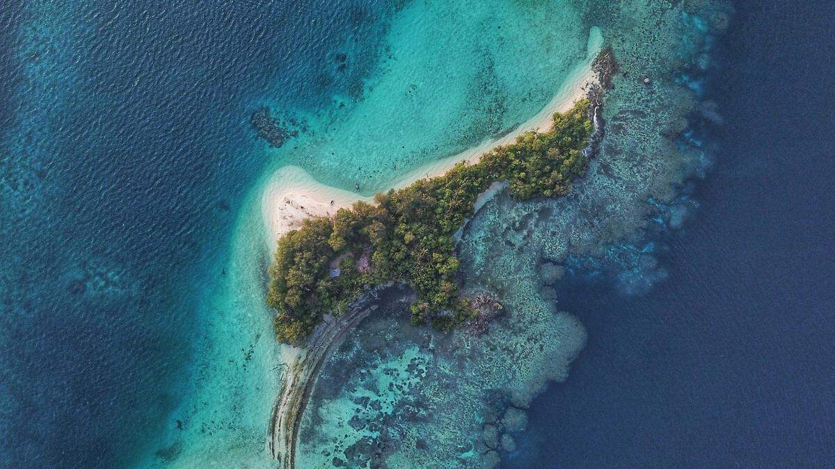 Deep on the sea floor around the Solomon Islands, a “pentagonal” creature buries itself in the muddy bottom.