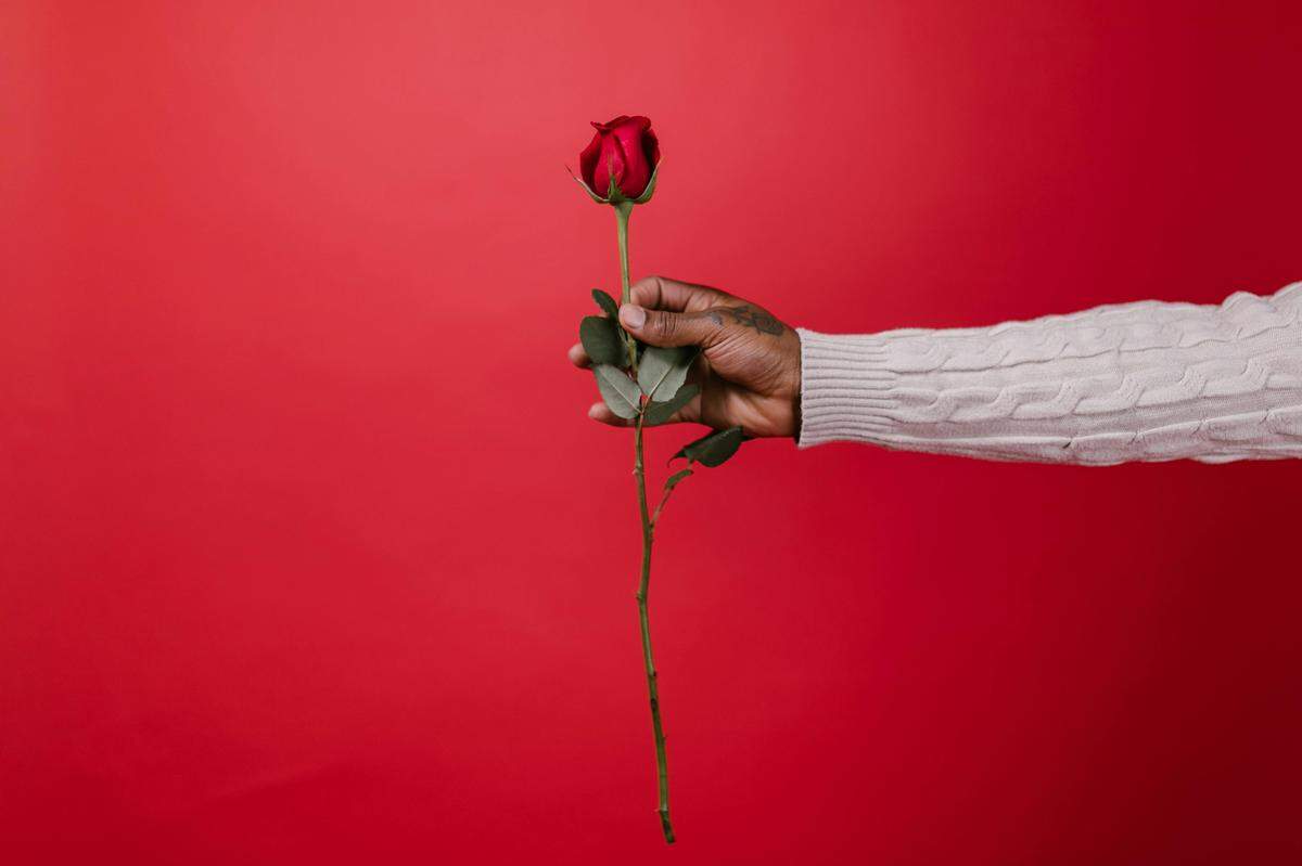 man holding red rose valentines day