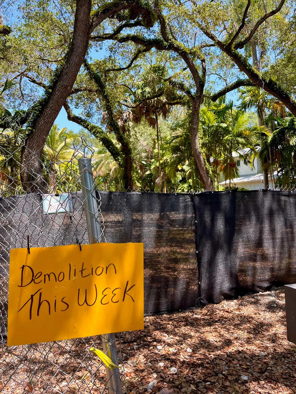 Will these trees be saved, neighbors on Seminole Street in the North Grove wonder. The house wasn’t.