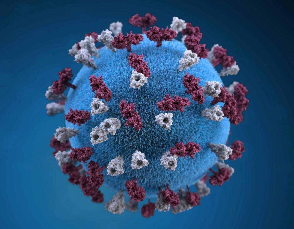 Measles is a highly contagious virus, but infection can be less severe or prevented with vaccination.