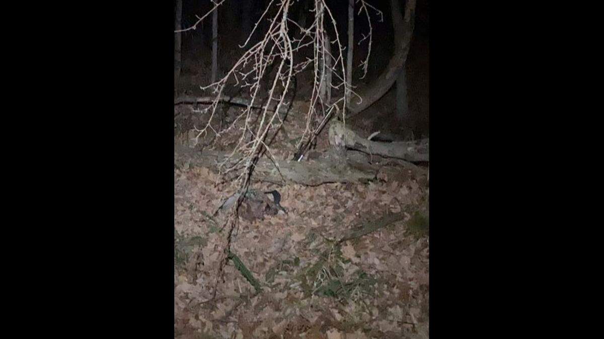 Officers spotted the hunter’s backpack and rifle in the woods which led to his rescue.