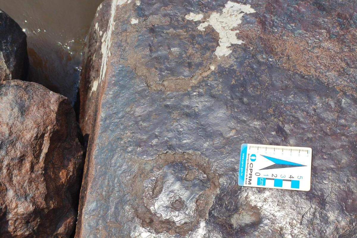 Two circular face carvings.