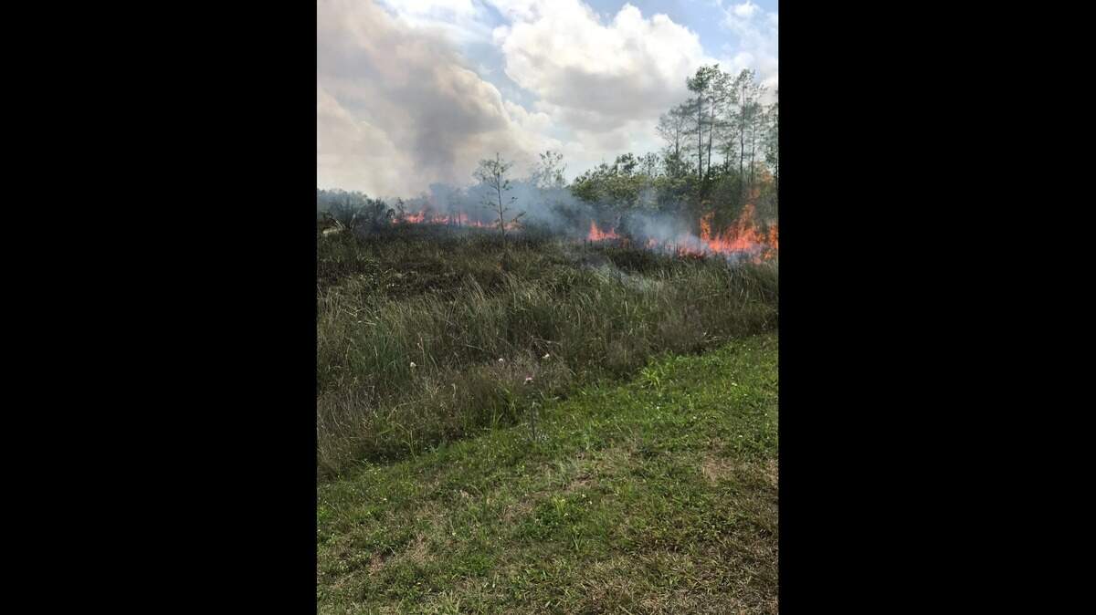 A wildfire burns near Sisal Pond in the Everglades National Park. Federal and state investigators classified a series of similar fires that burned dozens of acres within the park between February and April 2021 as arson.