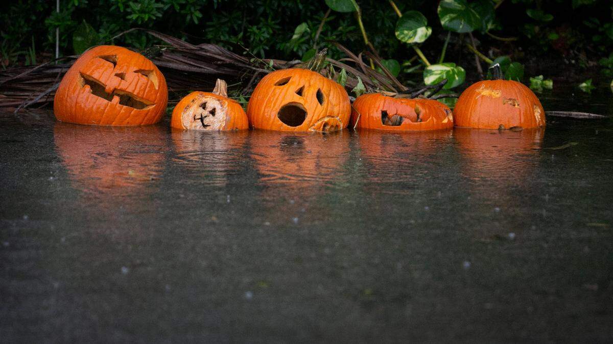 Discarded carved pumpkins sink into the water of a flooded street in Miami Shores in November 2021.