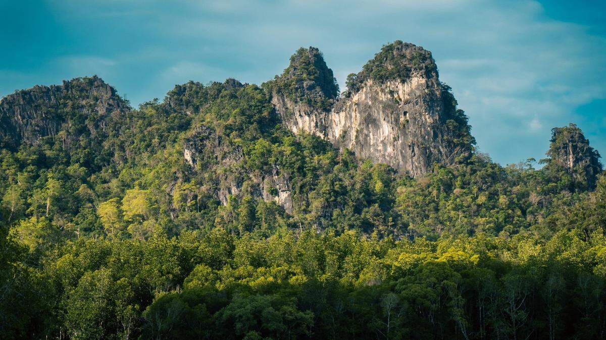 On the rocky cliffs of central Thailand, a small orange creature stands out from the green moss.