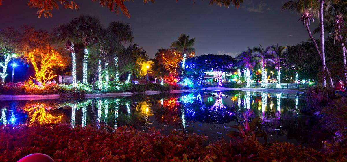 Zoo Lights opens Nov. 26, but tickets are less expensive if you order them before Nov. 23.