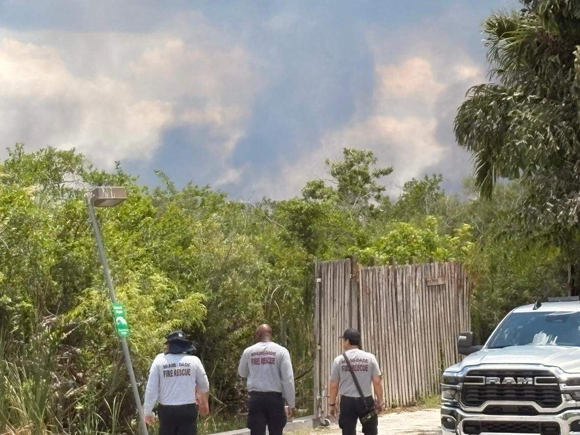 Federal and Miami-Dade County firefighters battled a large wildfire that has burned about 2,500 acres of the Florida Everglades.