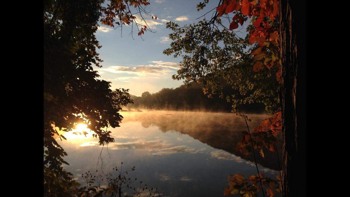 Pennsylvania wildlife officials received reports of an alligator along the Frankstown Branch Juniata River.