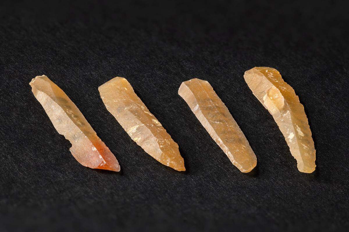 Some of the small blades found at the site.