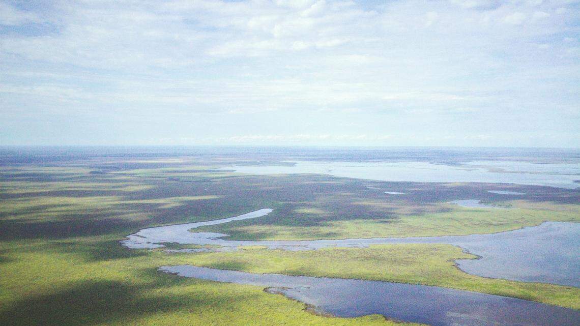 Wolverines were once common in Canada, but they have become rare due to over harvesting and habitat destruction, experts said.