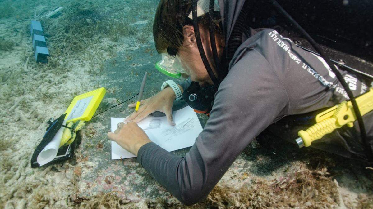 A scuba diver with measuring tools hovers alongside an underwater headstone surrounded by sand and short vegetation in the Dry Tortugas National Park. Archaeologists found a submerged grave marker they say indicates more people could be buried there.