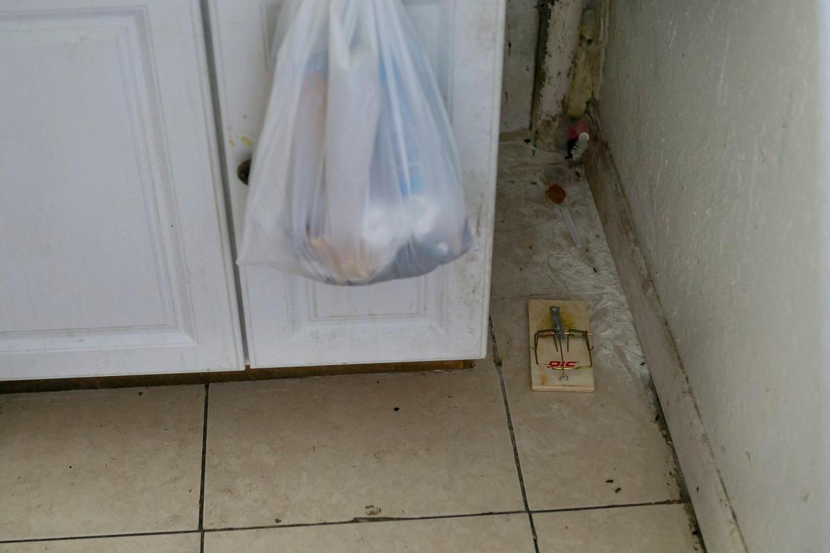A group of Argentinean tourists stranded in Miami during the coronavirus pandemic are living in a dilapidated house in Liberty City. “Every morning, we wake up and we clean and disinfect because we always find new rat droppings.”