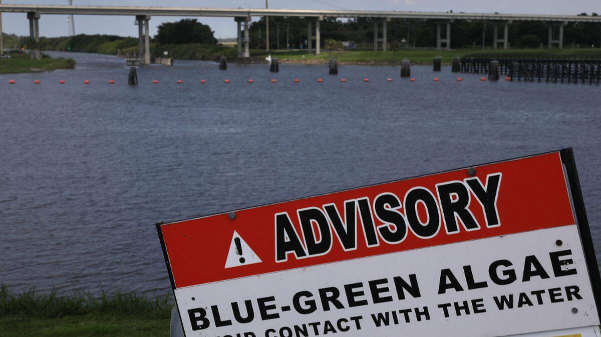 A sign warns of blue-green algae in the water near the Port Mayaca Lock and Dam on Lake Okeechobee in 2018.