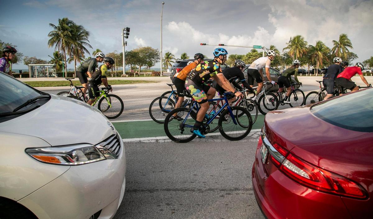 Cyclists have to navigate through parents dropping off students at MAST Academy on the Rickenbacker Causeway.