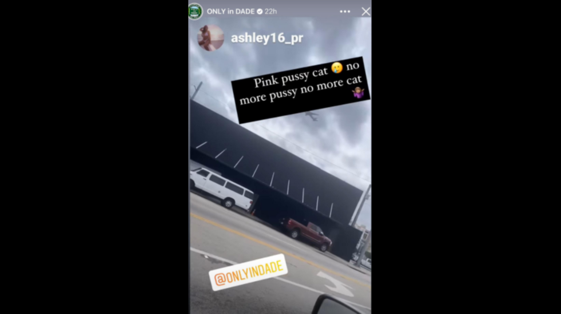 Club Pink Pussycat/Only in Dade screenshot