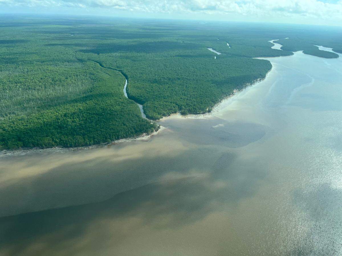 An aerial survey of the Everglades after Hurricane Ian showed the mangroves along the southernmost coast of the Everglades were practically unscathed, although the beach suffered some erosion.