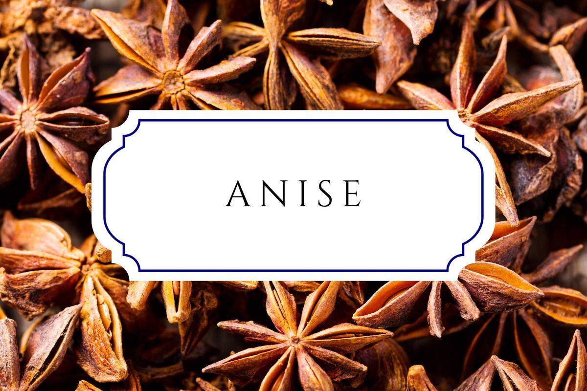 botanical baby names anise