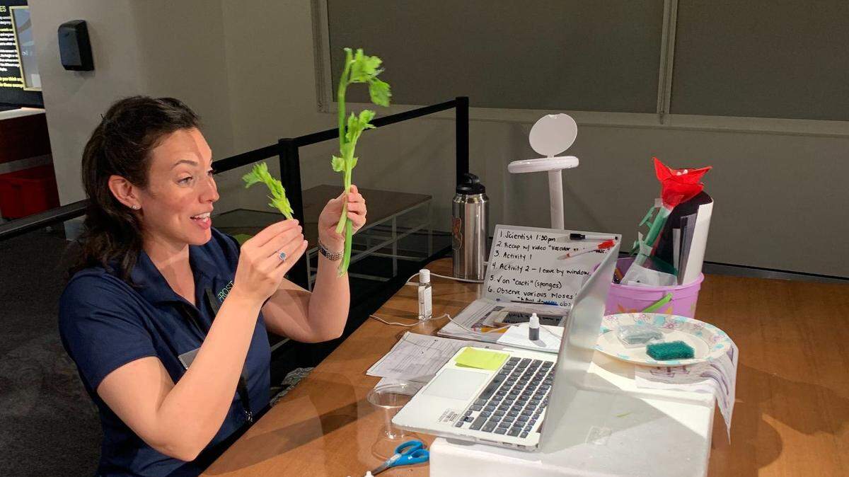 Frost Science is offering kids from Pre-K to eighth grade  weeklong virtual camps in July and August. Campers will participate in virtual museum tours, speak to local scientists and create hands-on science experiments. 