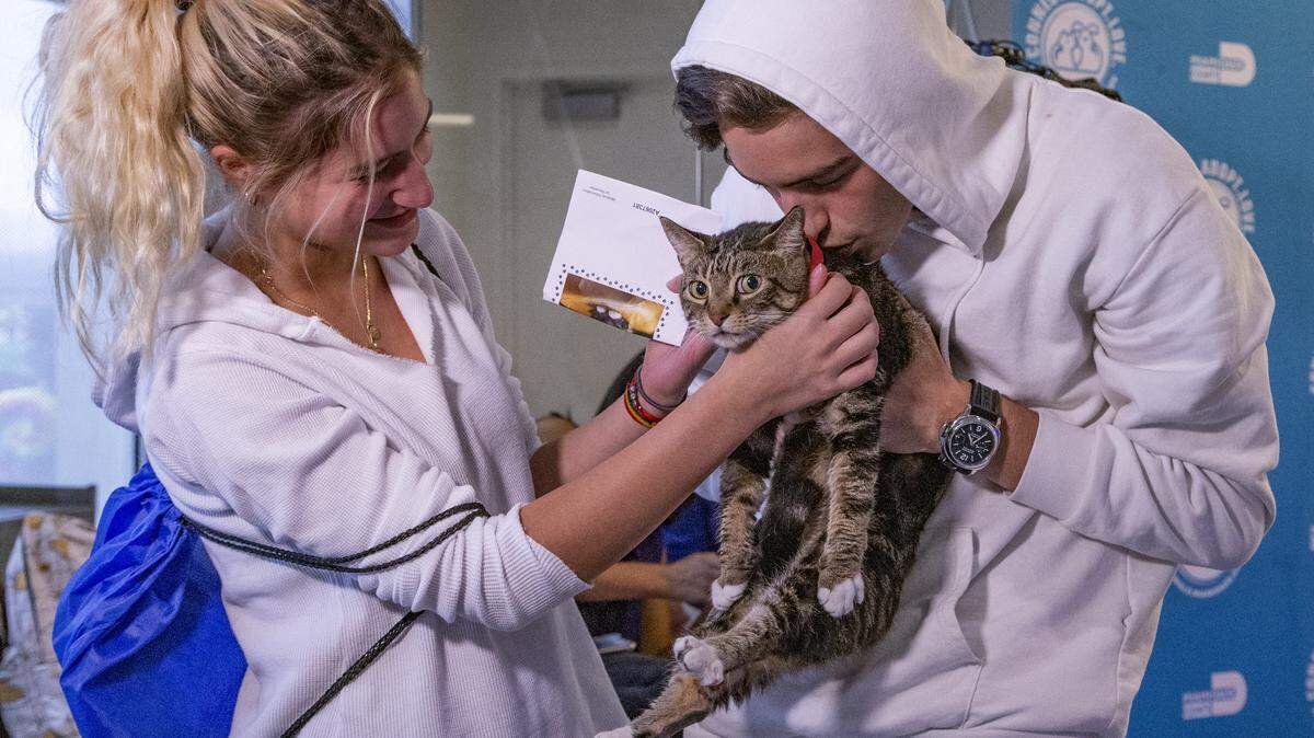 Gianluca Sandoval, at right, and his sister Annabella Lurman carry Tibbsy, a one-year-old cat they adopted at the Miami-Dade County Animal Services Pet Adoption and Protection Center in Miami. Hundreds of shelters across the country waived their adoption fees to celebrate Clear The Shelters Day on Saturday, August 17, 2019.