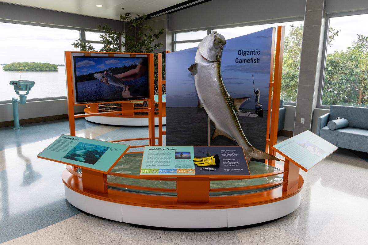 An exhibit at the new Guy Bradley Flamingo Visitor Center inside Everglades National Park in Homestead, Florida, on Friday, October 20, 2023.