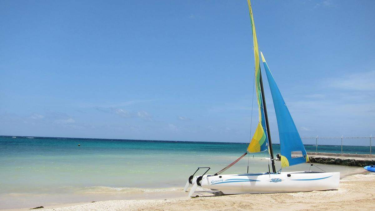 On the northern shore of Jamaica, a new species shares a name with a famous special agent.