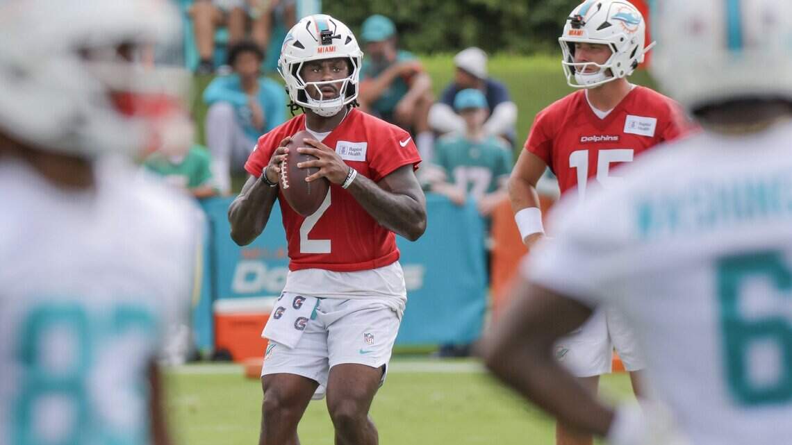 Dolphins Stock Report (Day 8): Malik Willis delivered best day of camp